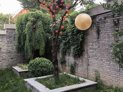 -庐灶江南·江南菜·四合院Bistro(东直门·华侨夜泊君亭店)