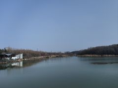 -昆山城市生态森林公园