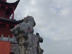 -巢湖姥山岛