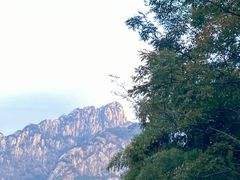 -黄山风景区