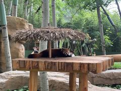 -北京野生动物园