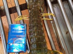-班赞海鲜市场