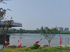 -大兴滨河森林公园