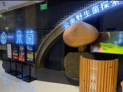 -一朵菌·野生菌探索家火锅(南亚店)