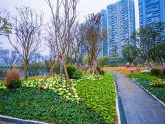 -白鹭湾湿地公园