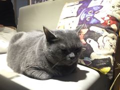 -小时光咖啡馆(开森度假森林店)