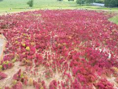 -汉长安城未央宫国家考古遗址公园