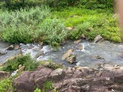 -武汉姚家山旅游景区