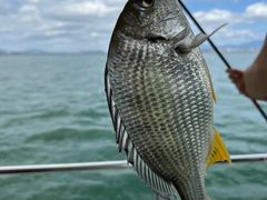 -鑫艋游艇海钓俱乐部