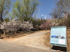 -北京鹫峰国家森林公园