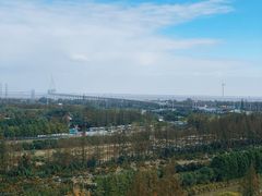 -上海长兴岛郊野公园