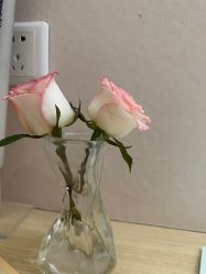 -恒美雅轩·品牌直营连锁