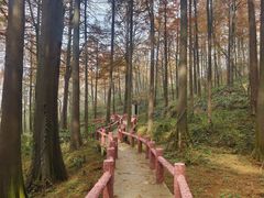 -波尔登森林公园