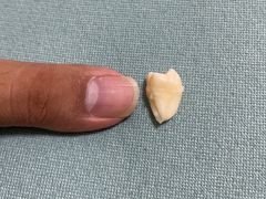 -微笑牙科口腔(三亚迎宾院区)