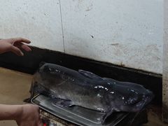 -秦巴石锅鱼(文化南路店)