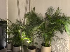 -YCHL FIT 健身(星寰店)