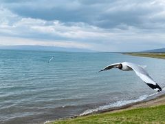 -青海湖国家重点风景名胜区