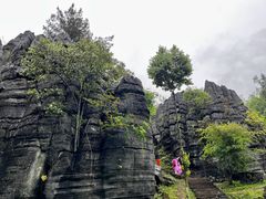 -梭布垭石林景区
