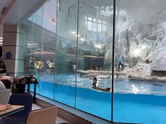 -帝企鹅自助餐厅•儿童岛•真企鹅(长隆企鹅酒店)