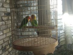 -鱼桥巷·美学川菜