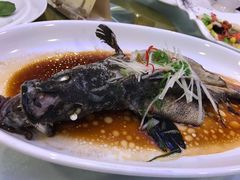 -聚春园自助餐厅(东街口店)
