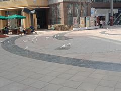 -中粮·祥云小镇