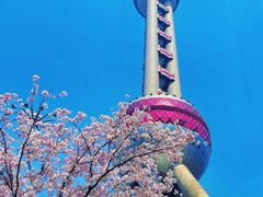 -东方明珠广播电视塔