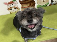 -瑞鹏宠物医院·爱宠堂·骨外专科(西荷分院)