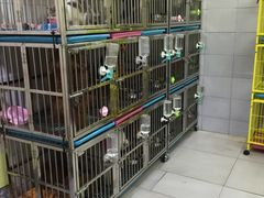 -爱宠屋pet shop·宠物洗澡·宠物美容