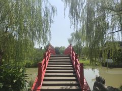 -盆景园(扬州大运河文化旅游度假区)