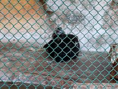 -广东茂名森林公园