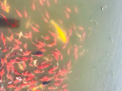 -前关湿地公园