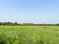 -广富林郊野公园