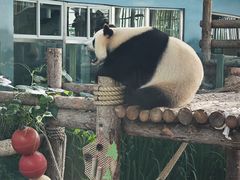 -大连森林动物园