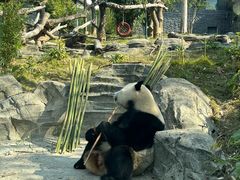 -武汉动物园