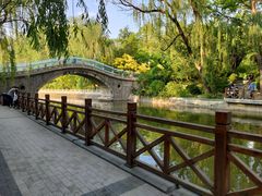 -迎泽公园