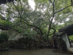 -西园戒幢律寺