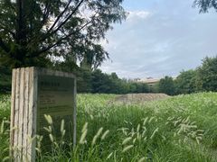 -北京园博大酒店