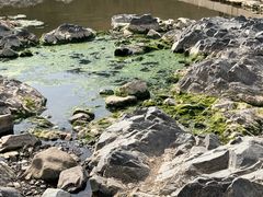 -渔梁坝