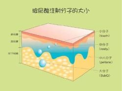 -河南中医药大学第一附属医院-医疗整形