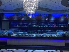 -粤珍轩.创始店.始于2001(含光门店)