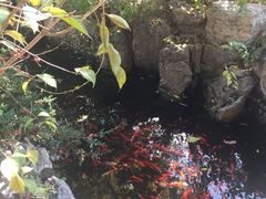 -星巴克臻选(天津鲁能中心一店)