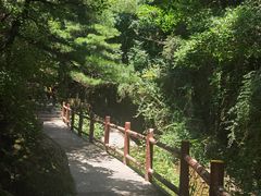 -王顺山国家森林公园