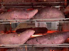 -华联商厦(火车站店)