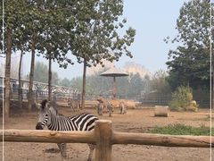 -大连森林动物园