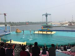 -秦皇岛乐岛海洋王国