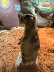 -Zoolung Zoolung动物主题公园(海信广场店)