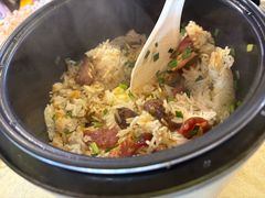 -一煲鸽
