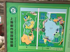 -上海都市菜园