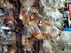 -香港铜锣湾皇悦酒店